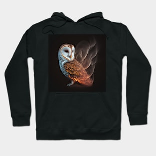 Barn Owl Wisps 07 Hoodie